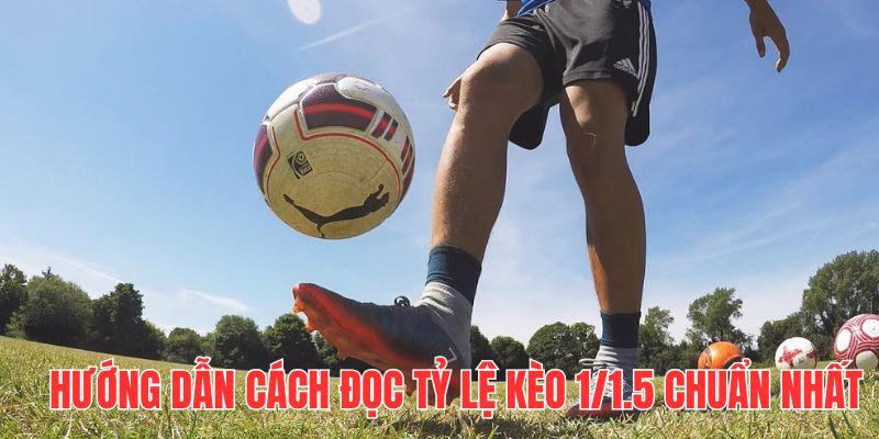 Hướng dẫn cách đọc tỷ lệ kèo 1/1.5 chuẩn nhất