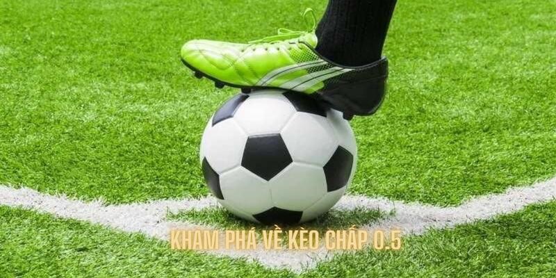 Khám phá sơ quan về kèo thể thao hot nhất hiện nay