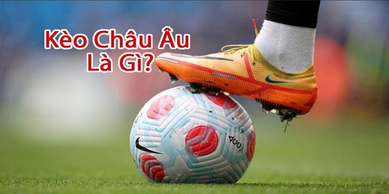 Tìm hiểu thông tin về tỷ lệ châu Âu cho hội viên mới