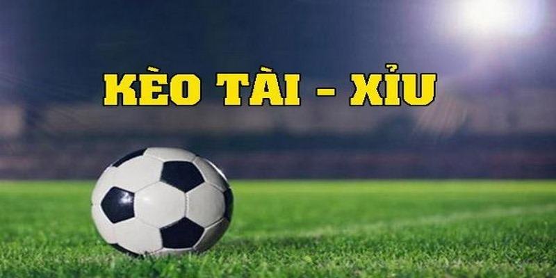 Cược Tài Xỉu là gì?