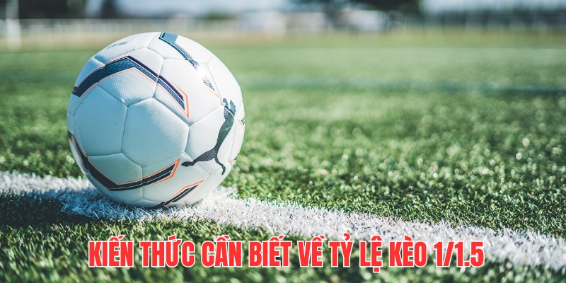 Kiến thức cần biết về tỷ lệ kèo 1/1.5