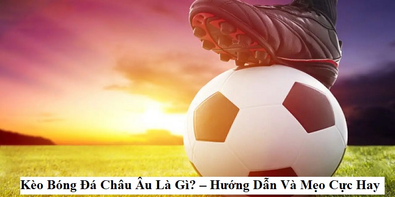 Kinh nghiệm cá cược 1X2 để bạn gia tăng cơ hội chiến thắng