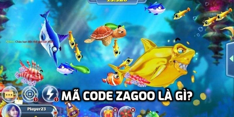 Mã Code Zagoo là gì?