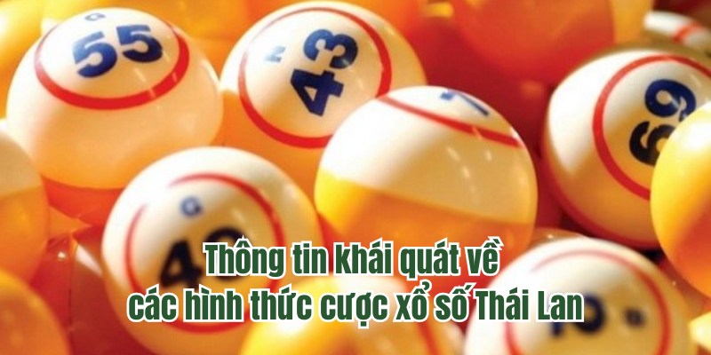 Thông tin khái quát về các hình thức cược xổ số Thái Lan