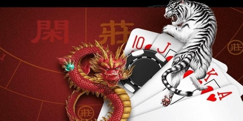 Tìm hiểu chung về Dragon Tiger